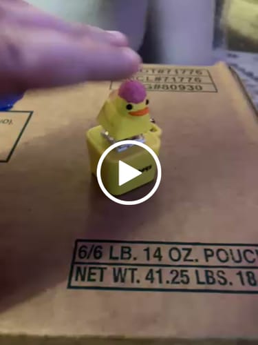 Customer video review of Mystery Quackey Series 1 - Fidget Toy that Quacks!