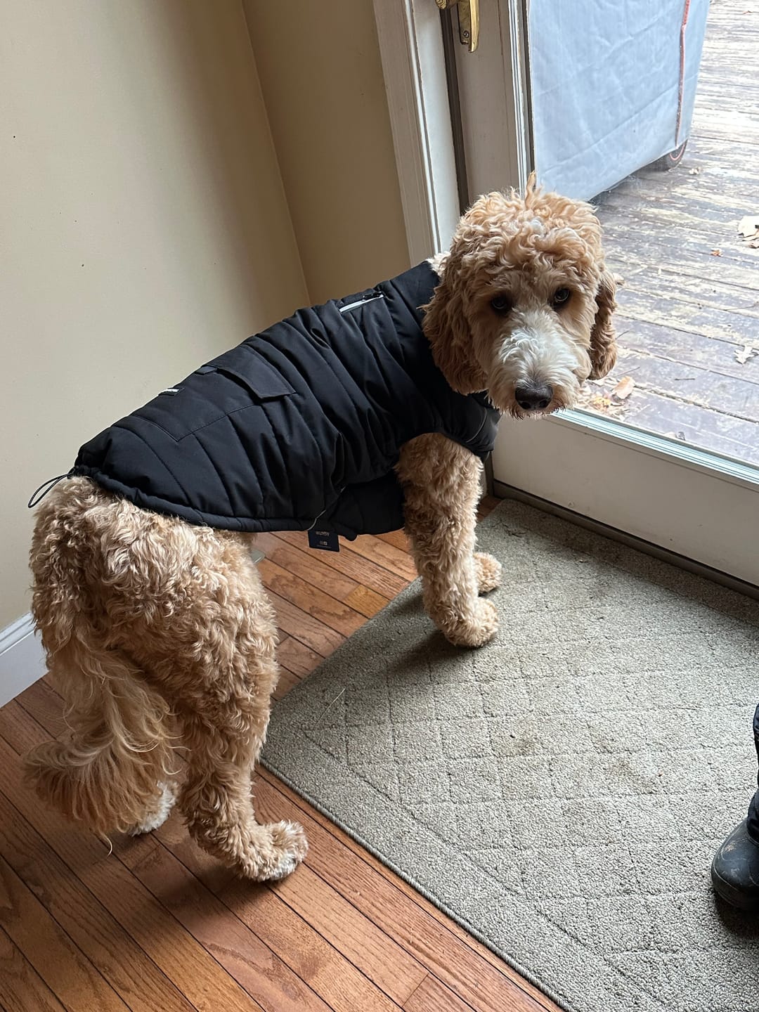 Customer photo review of WarmShield Water-Resistant Jacket - Black