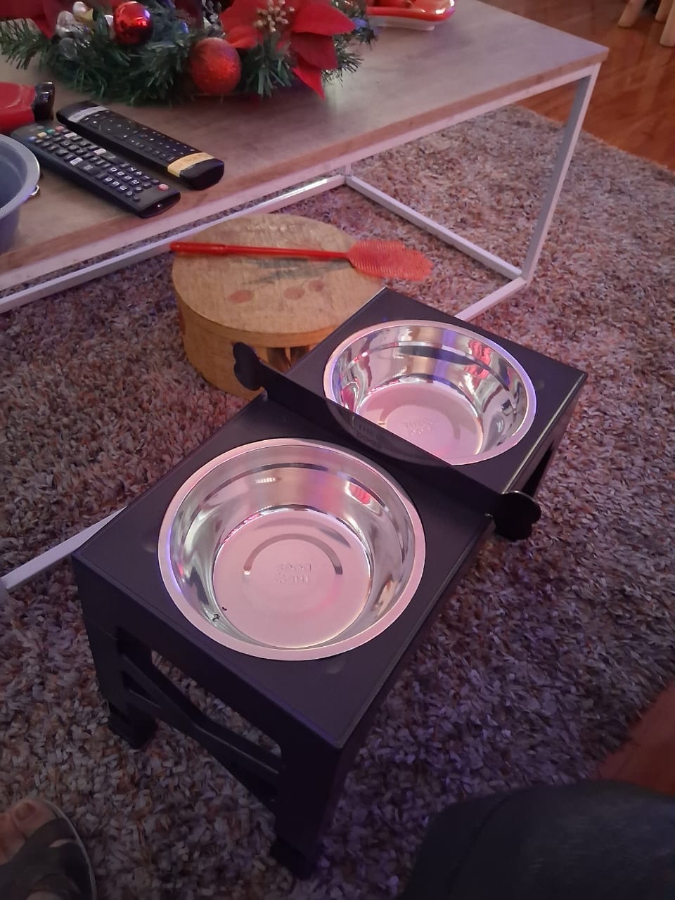 Customer photo review of Comedero Elevado THE DOGS Postura correcta en cada comida