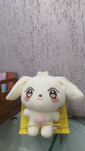 Customer photo review of KPOP Aniteez Doll