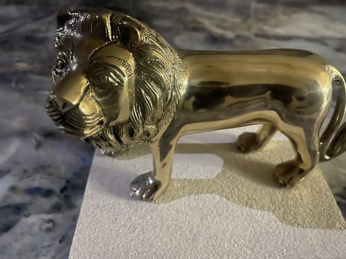Customer photo review of Brass Lion Idol – 100% Pure Brass Statue for Home, Office, Vastu Remedy & Decorative Showpiece by Vastu Mandir