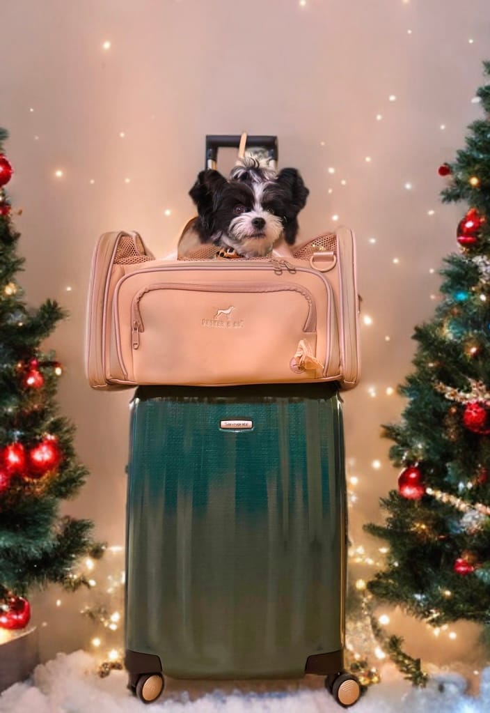Customer photo review of Airline Approved Travel Pet Carrier
