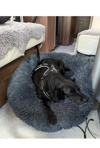 Customer photo review of CalmBed - Motverkar stress & hjälper mot ångest