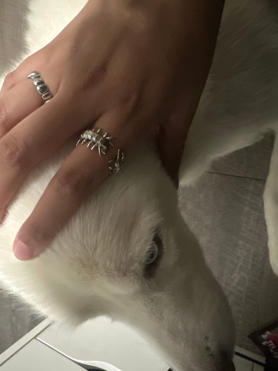 Customer photo review of CENTIPEDE RING