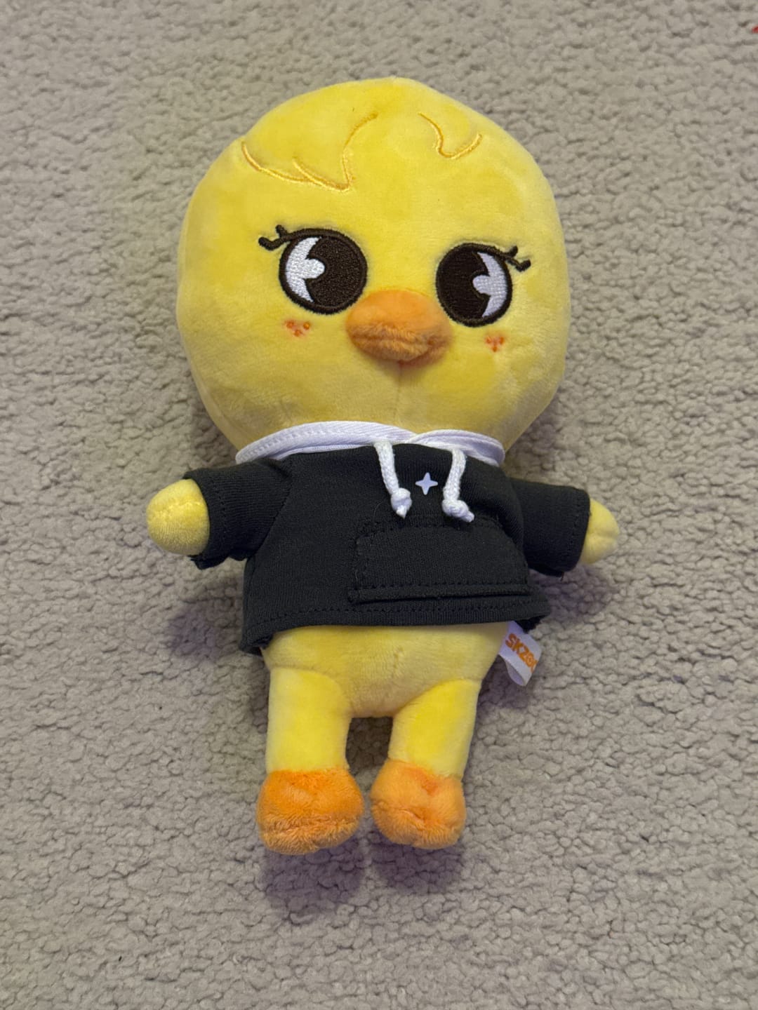 Customer photo review of STRAY KIDS - SKZ'S MAGIC SCHOOL OFFICIAL MD SKZOO PLUSH ORIGINAL VER.