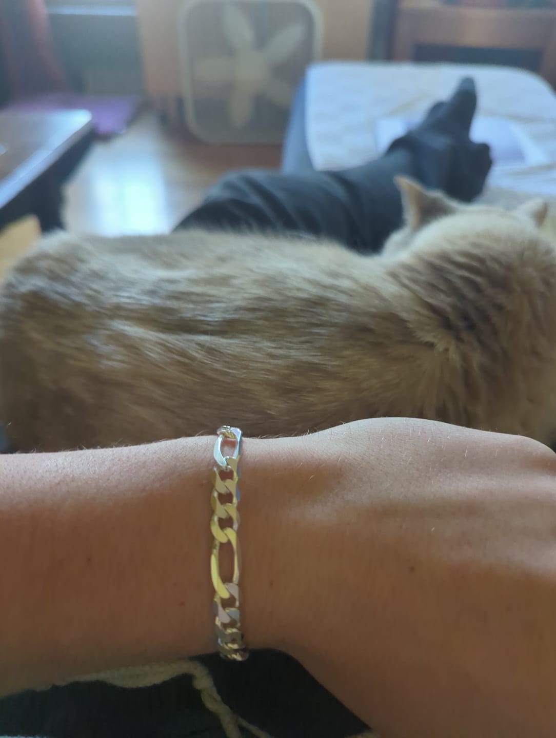 Customer photo review of SILVER FIGARO BRACELET