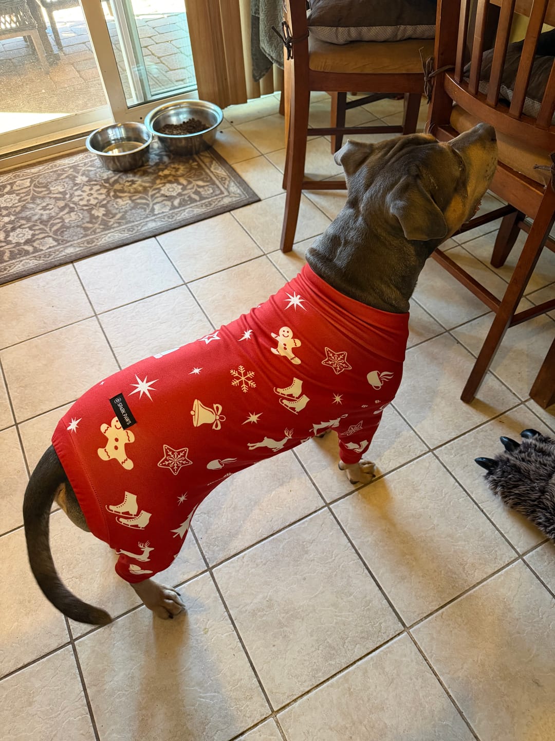 Customer photo review of Dog Christmas Pajama - Red Cheer