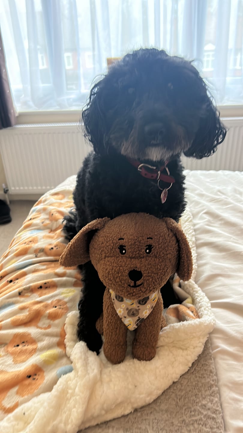 Customer photo review of Toy Lilo Plushie