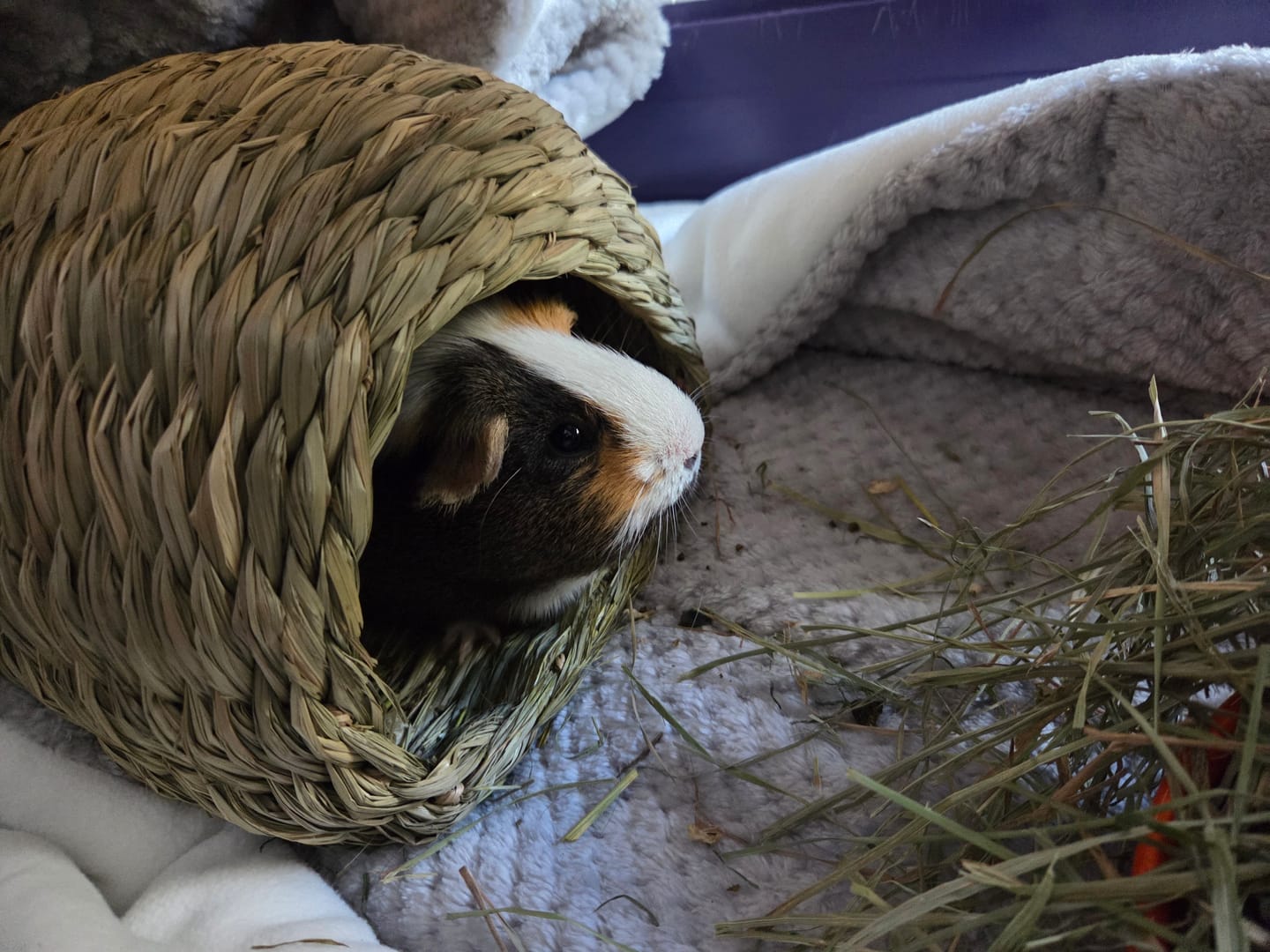 Customer photo review of Set of 2 Fleece Liners | Velvet Gray | Plush Bedding