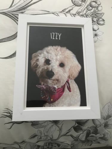 Customer photo review of Classic - Custom Pet Portrait