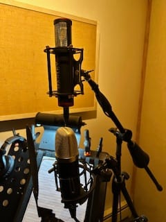 Customer photo review of Mini K47 Condenser Microphone