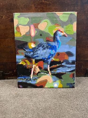 Customer photo review of Pukeko