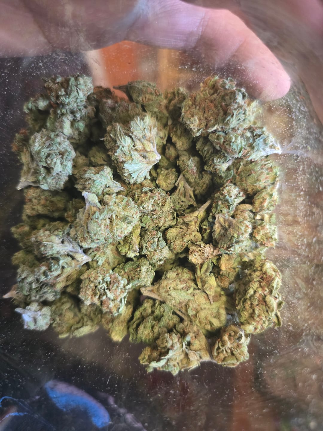 Customer photo review of Double Cake - Light Dep THCA (Full Size)