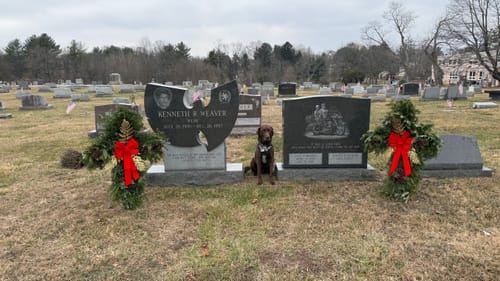 Customer photo review of Fresh Natural Christmas Grave Cross