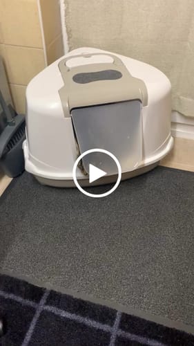 Customer video review of 3 Month Supply - 1 Cat