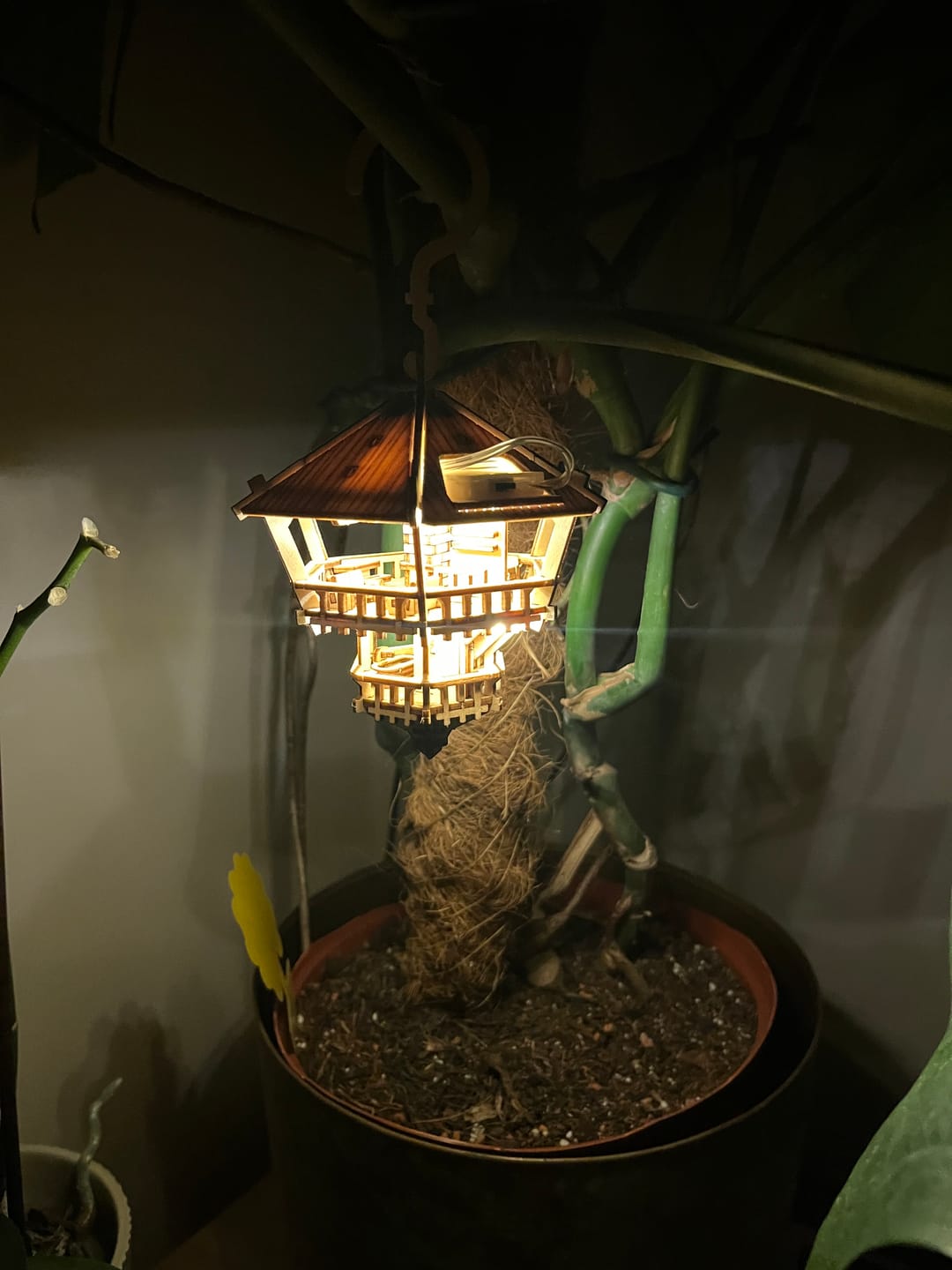 Customer photo review of Treetop Hideaway