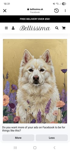 Customer photo review of Personalised Pet Portrait - Dogs, Cats & Horses