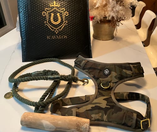 Customer photo review of Mystery Box - Dog