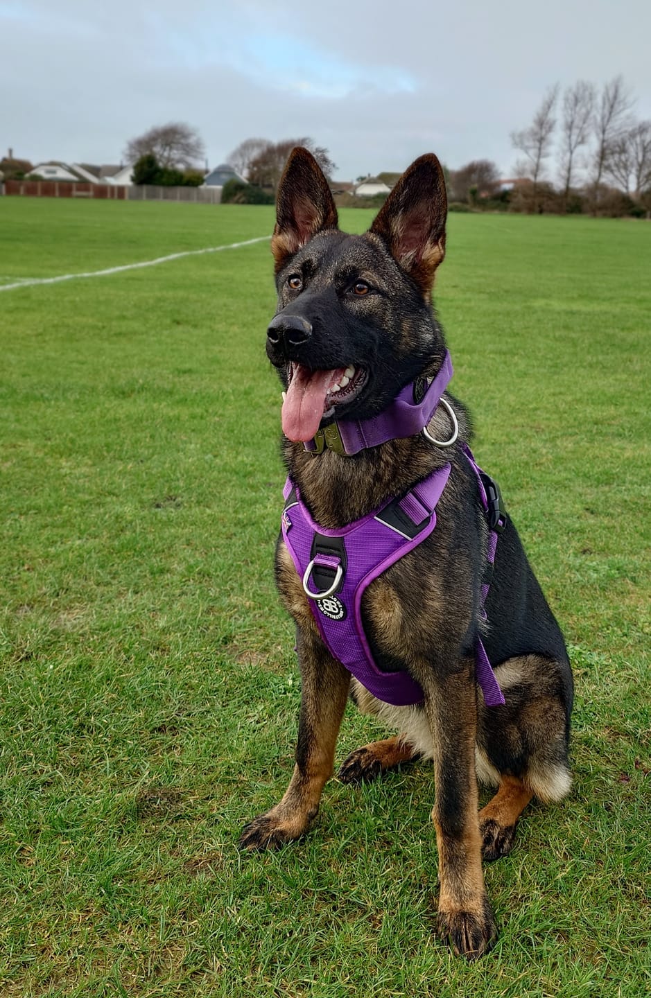 Customer photo review of Anti Pull Hurricane Harness Lighter | With Handle - Purple