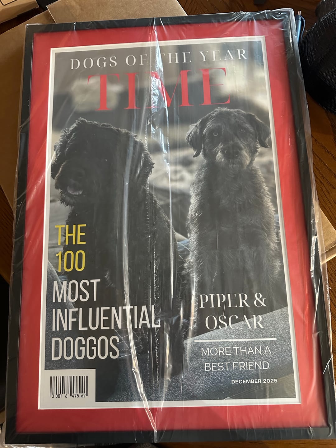 Customer photo review of Pet Portrait Magazine Cover