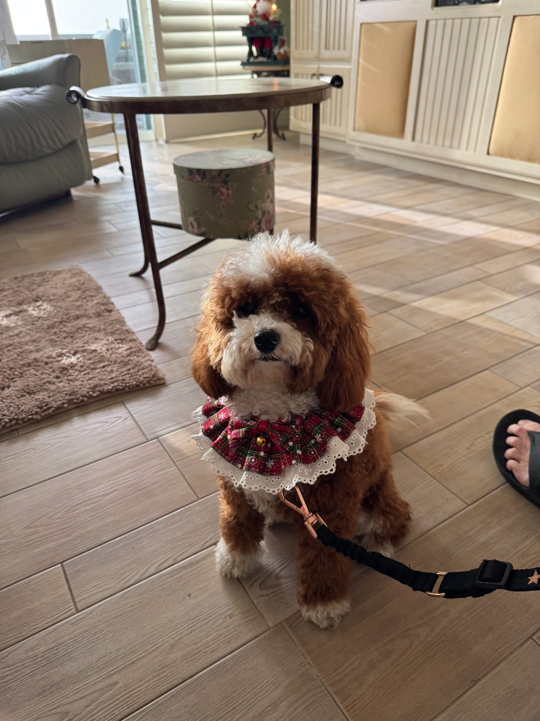 Customer photo review of Custom Photo Pets Make Our Lives Whole - Dog & Cat Personalized Ornament