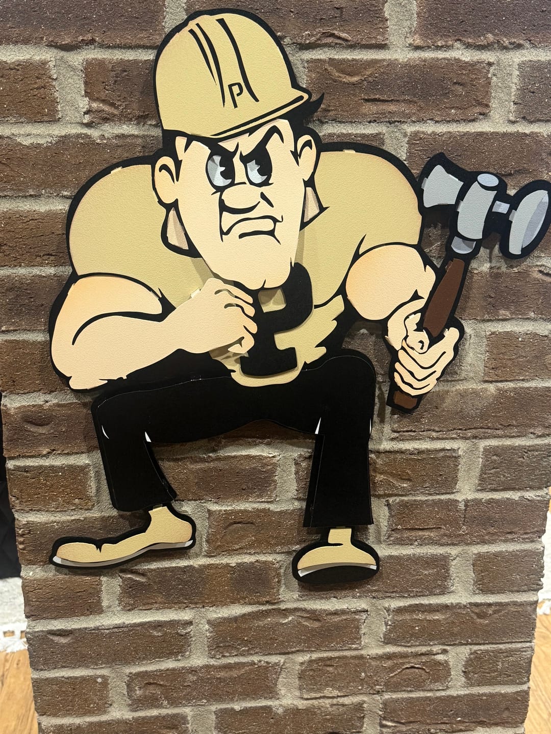 Customer photo review of Purdue "Pete" 3D Vintage Metal Wall Art