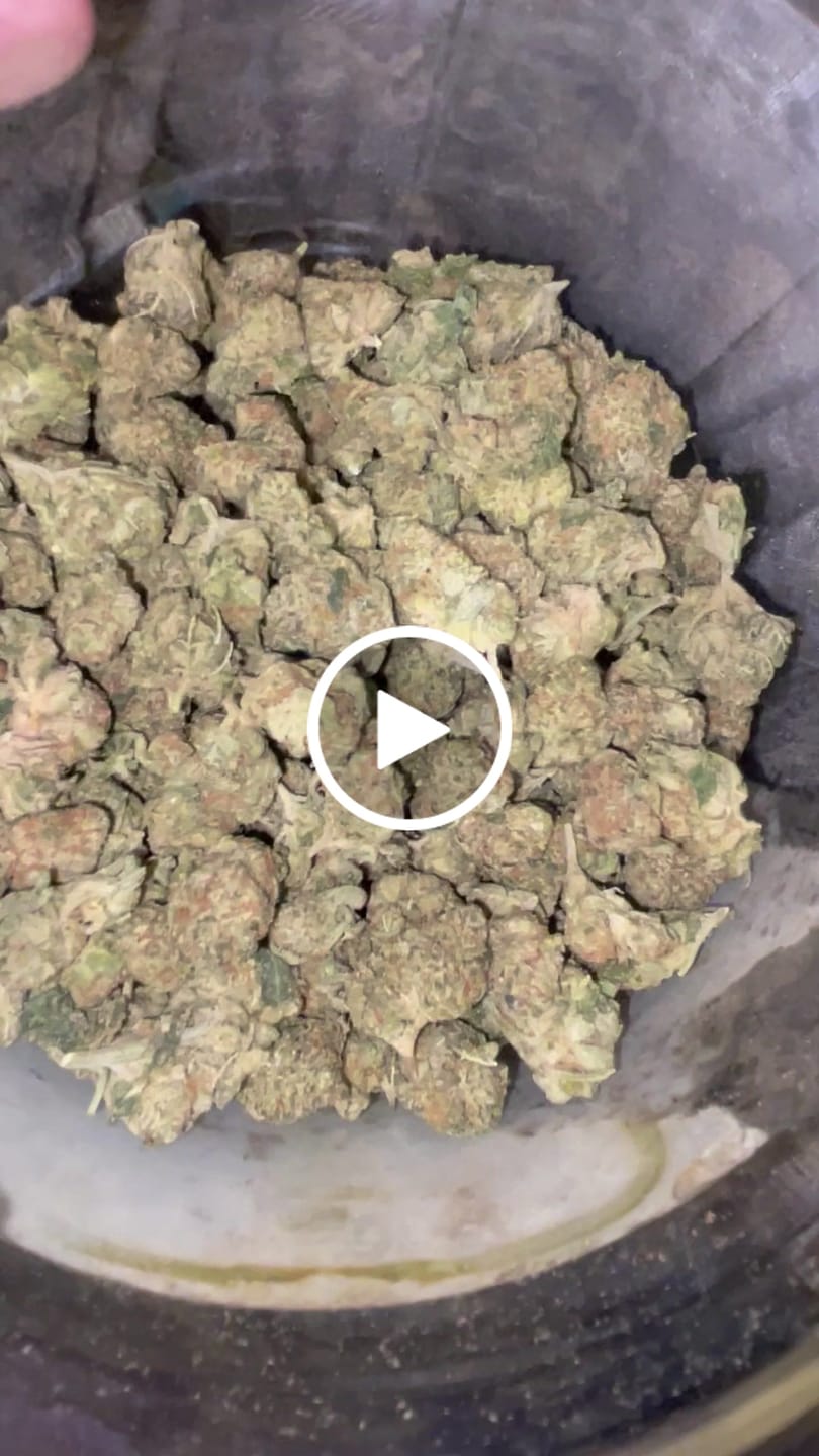 Customer video review of Wedding Cake - Greenhouse THCA (Smalls)