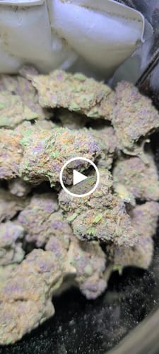Customer video review of Dank Push Pop THCA Flower
