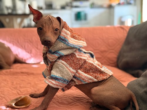 Customer photo review of Free & Easy Return or Exchange Coverage + Package Protection