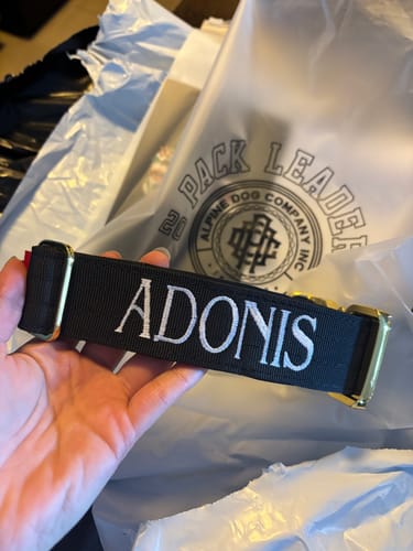 Customer photo review of 1.5" Tacti Dog Collar Slim Luxe - Gold - Noir