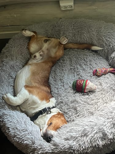 Customer photo review of CalmBed överdrag