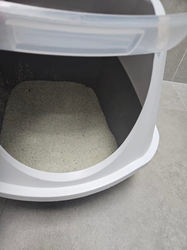 Customer photo review of 1 Month Supply – 2 Cat