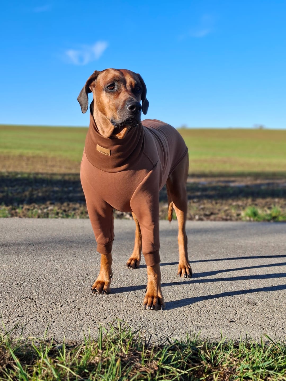 Customer photo review of Aspen "Pretzel Brown"