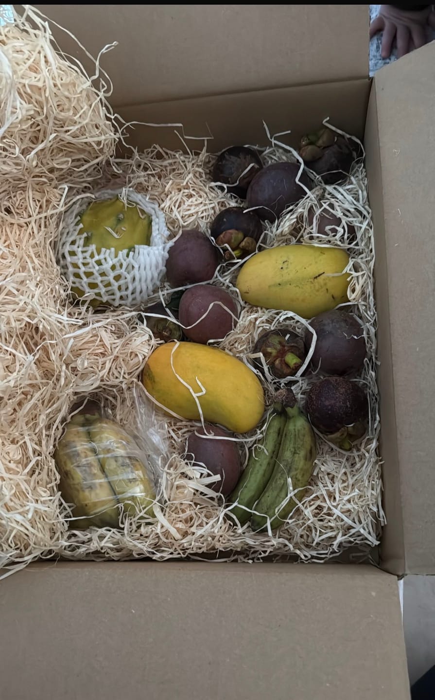 Customer photo review of Exotische Früchtebox „Tropenfeeling"