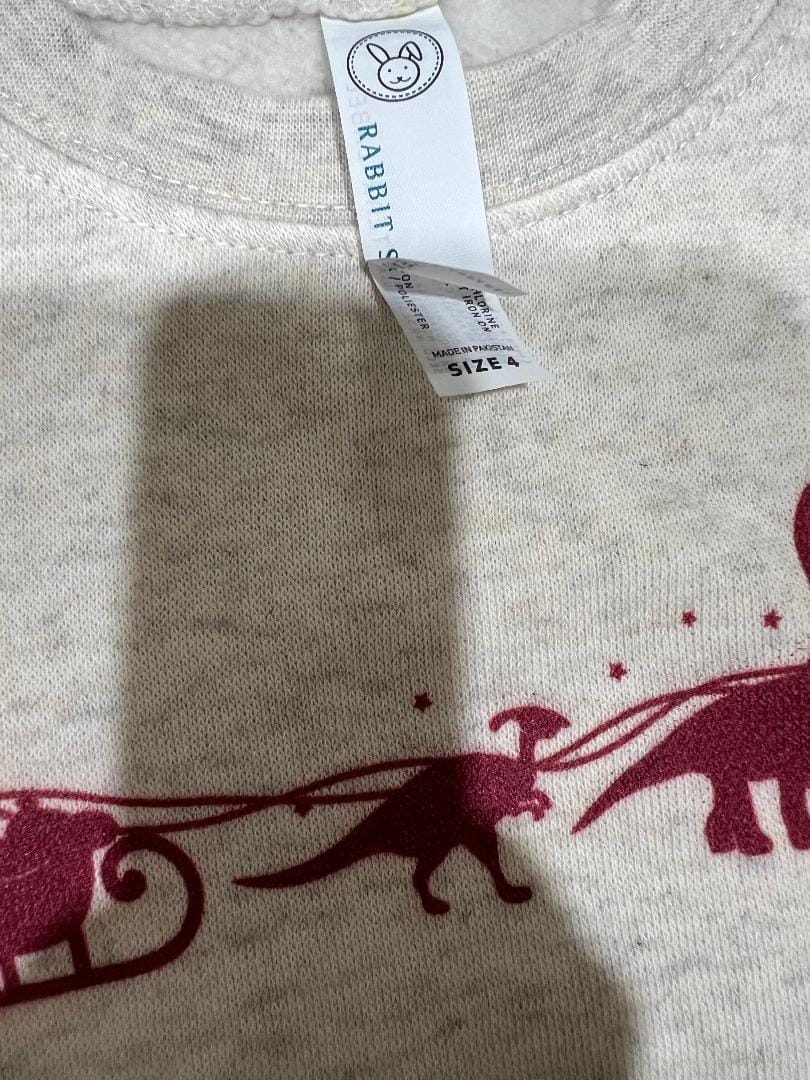 Customer photo review of Dinosaurs & Santa's Sleigh (Kids)