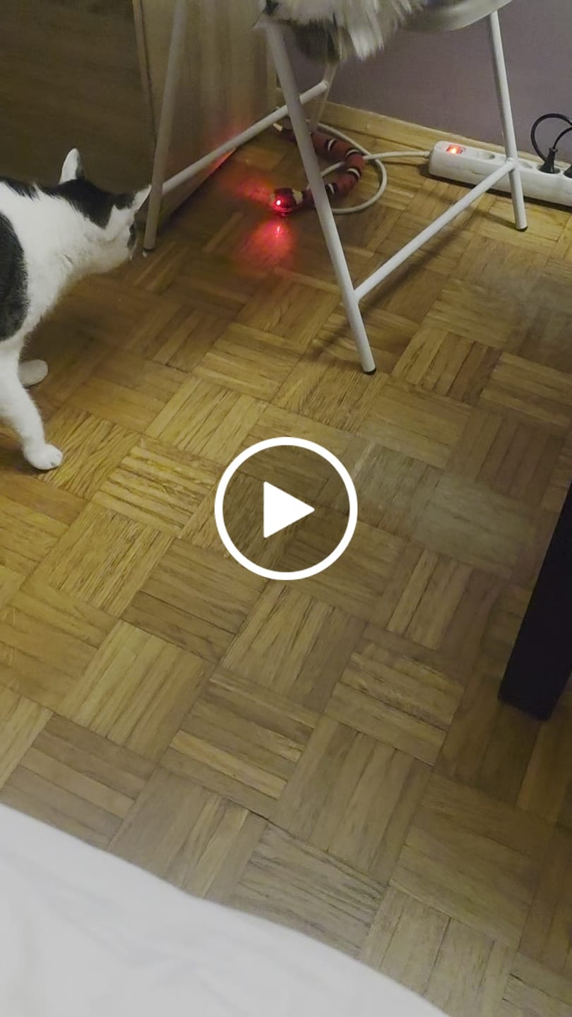 Customer video review of Pametna Igračka Zmija za Mačke