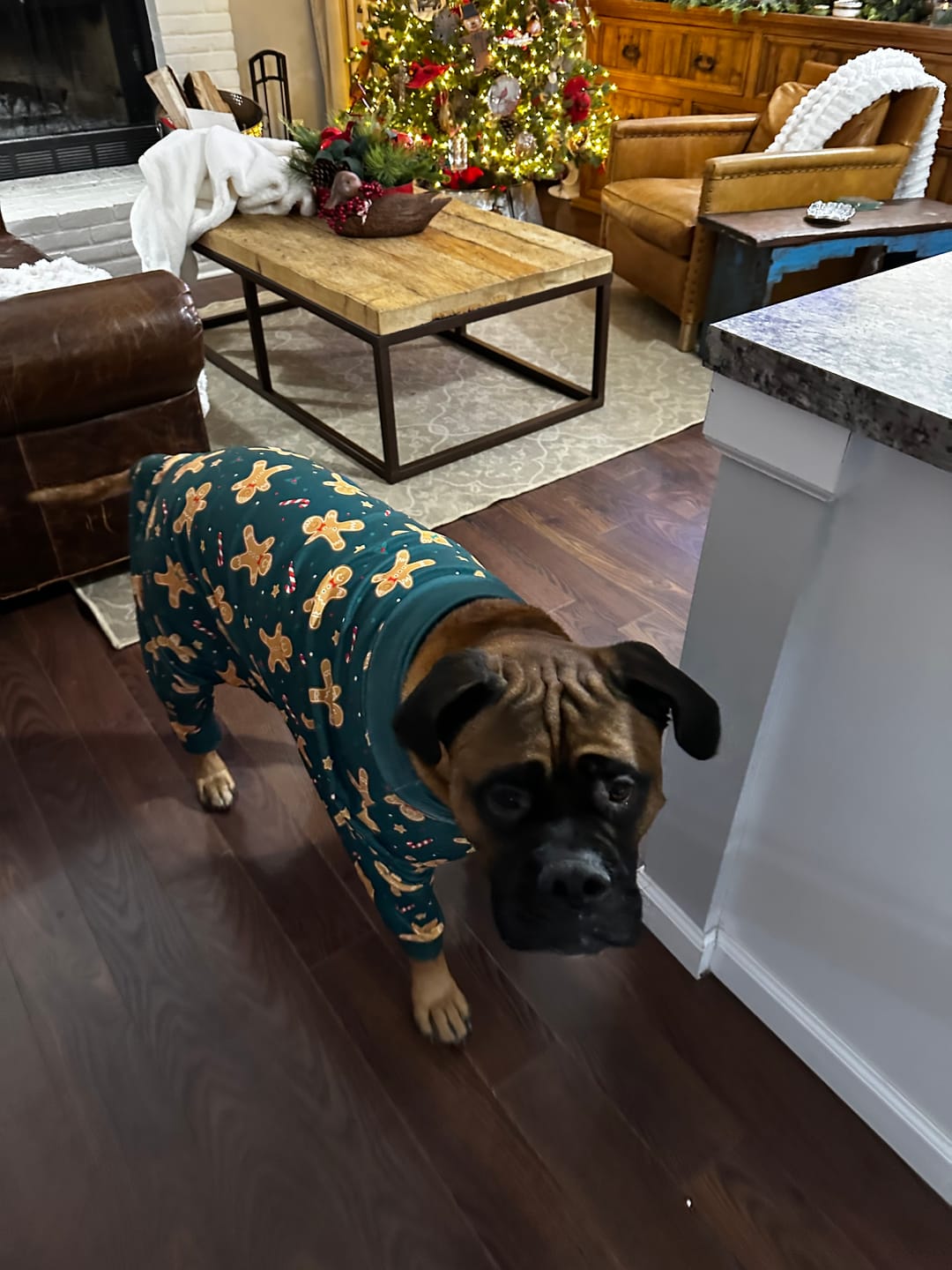 Customer photo review of Christmas Pajama Top - Gingerbread Man