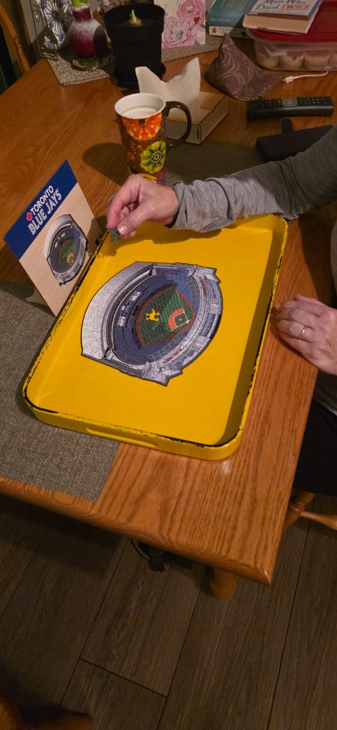Customer photo review of Toronto Blue Jays™ Rogers Centre Stadium - Wooden Puzzle