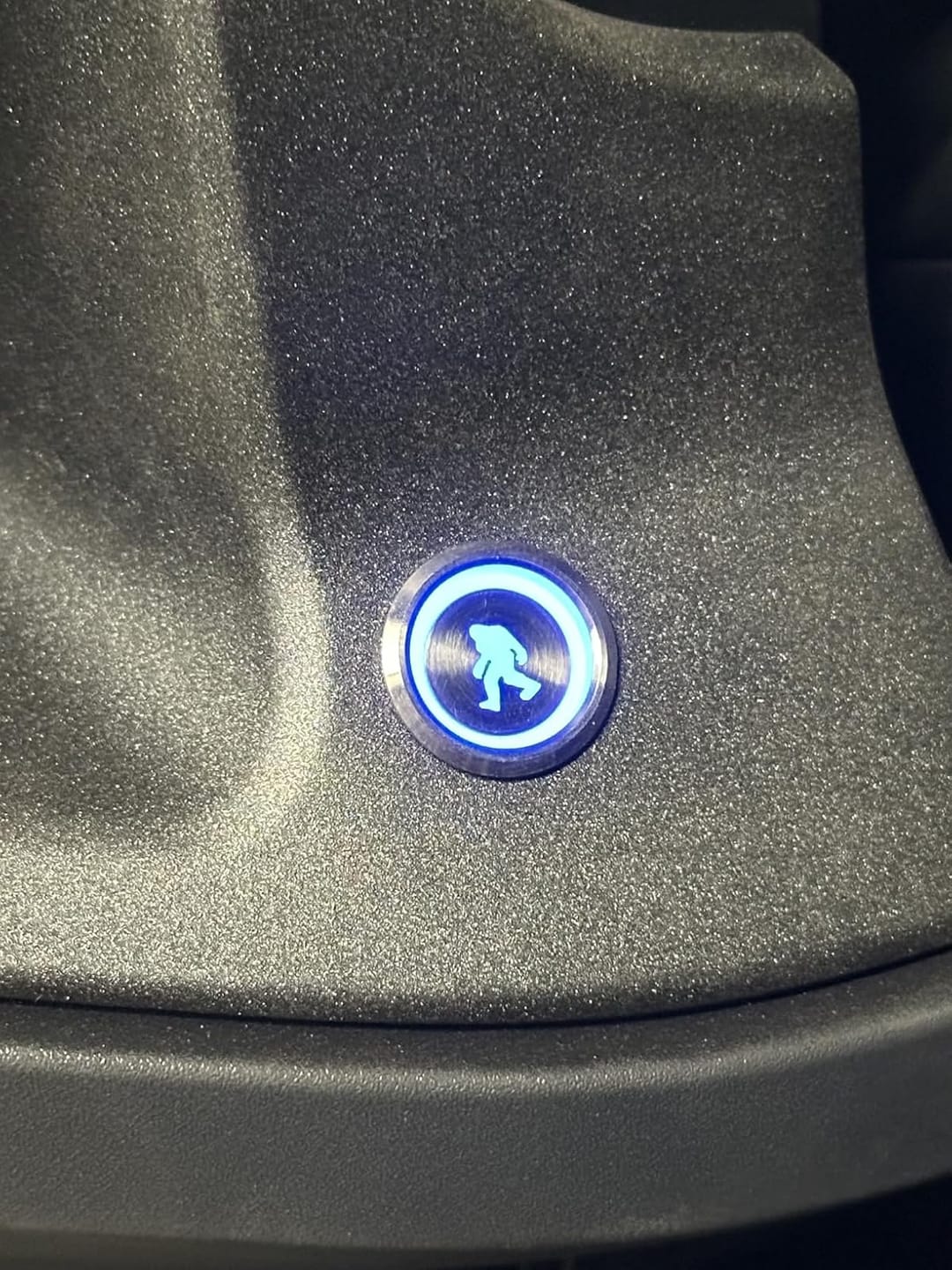 Customer photo review of 19mm Led LOGO Push Button Switch (To purchase customized products, please contact the official email info@apiele.com  Customized patterns start from 100 pieces)