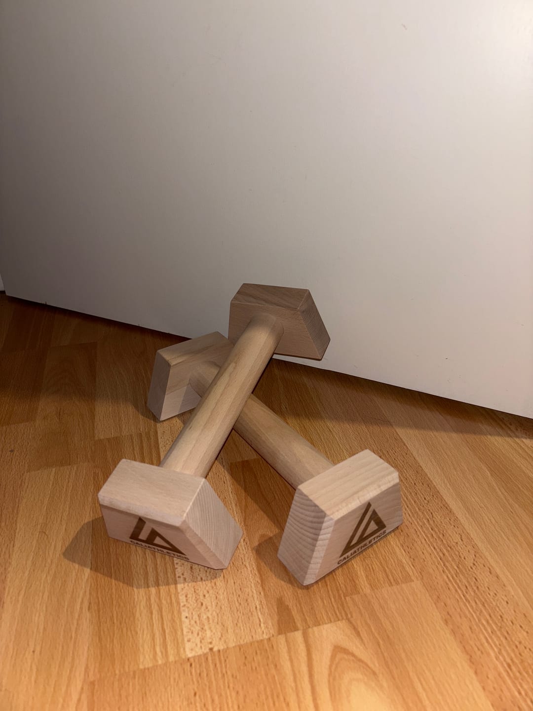 Customer photo review of Wooden Parallettes MINI