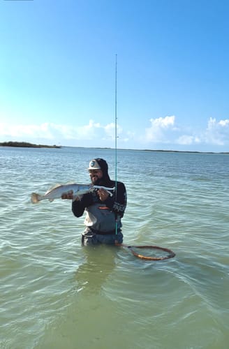 Customer standing in the water holding a fish caught with their Waterloo Laguna Green Salinity rod.