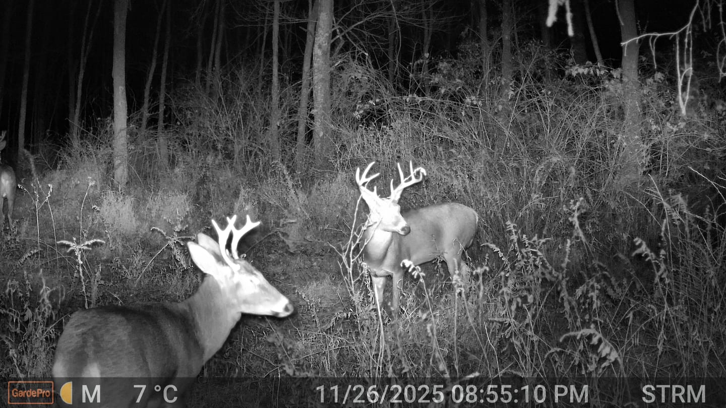 Customer photo review of GardePro Link 3000ft(1km ) Long-Range Wireless Trail Camera