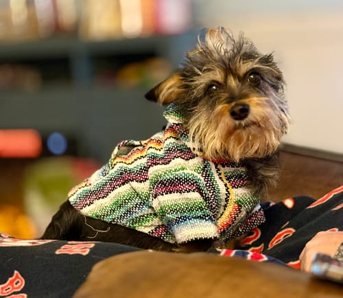 Customer photo review of Playa Poncho – Mystery Color (Bella, Charlie, or Fun Edition)