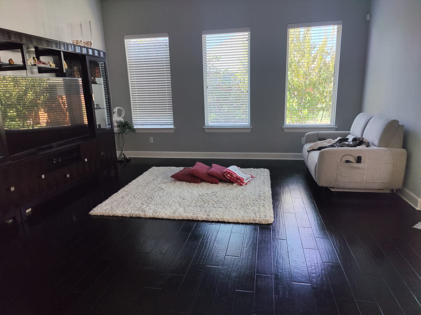 Customer photo review of AeroStretch Power Zero Wall Hugger Recliner Sofa Loveseat with Drop Down Table Tray