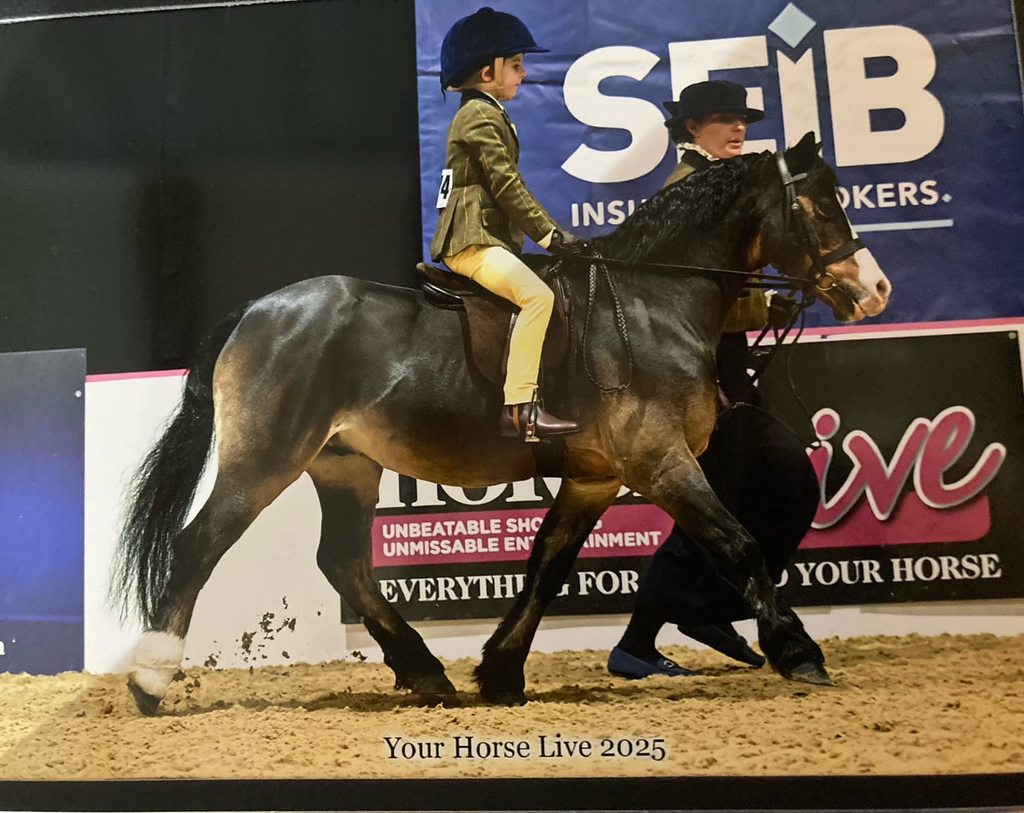 Customer photo review of Horse Skin Rescue Bundle