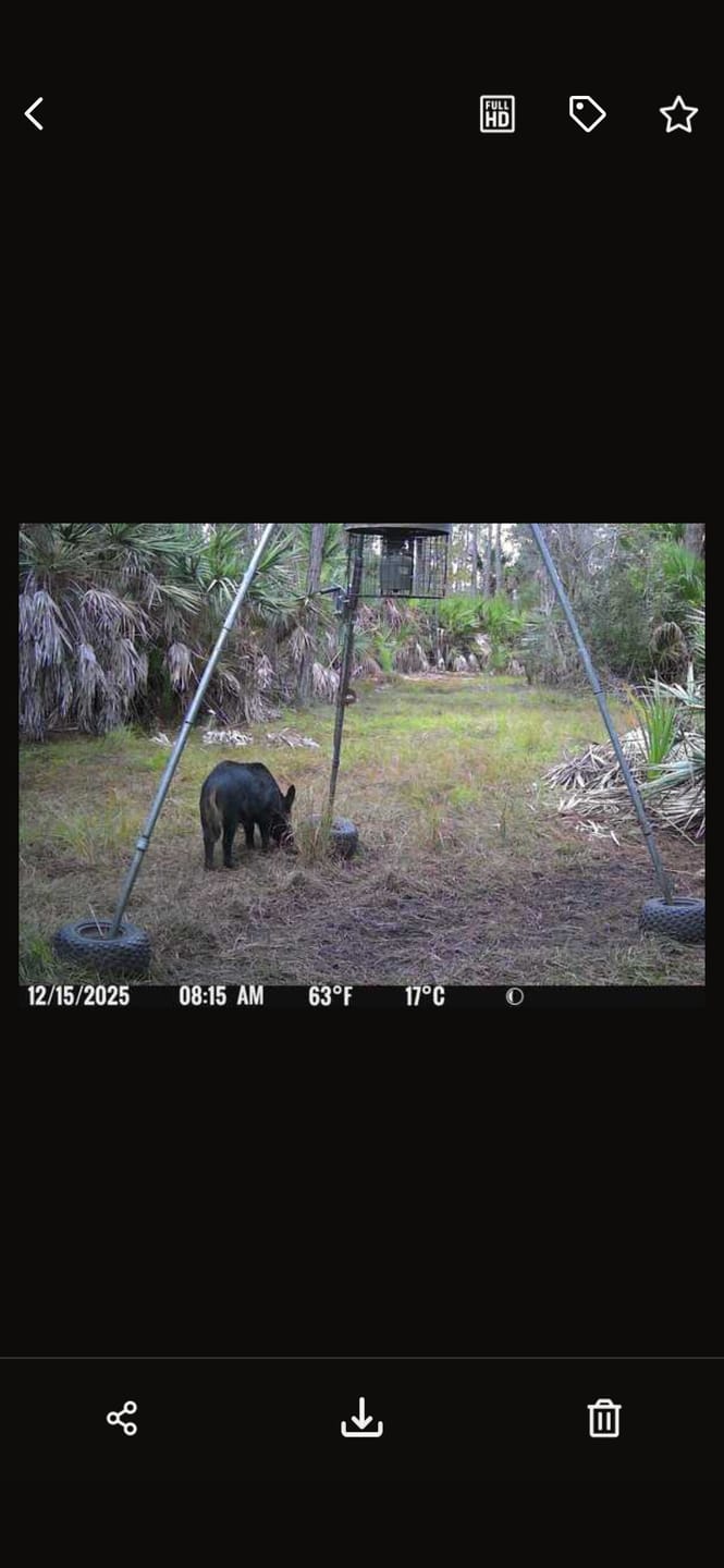 Customer photo review of Universal Varmint Guard