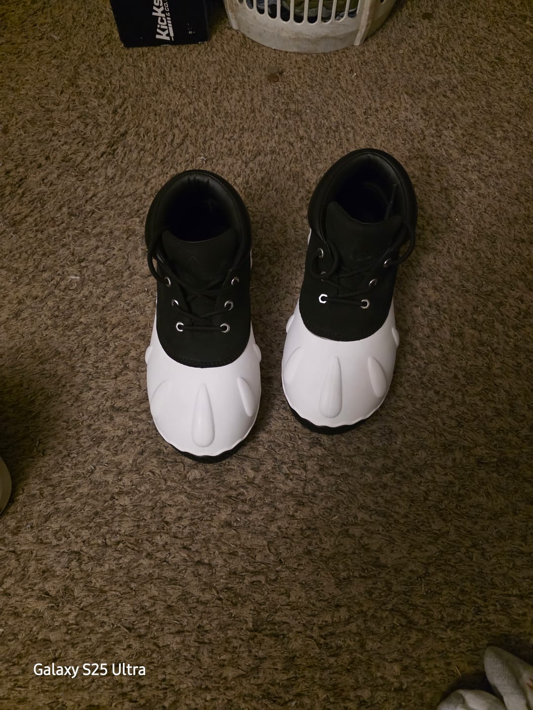 Customer photo review of Duck Lo - Tuxedo