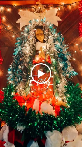 Customer video review of 24 Hours Fast Delivery