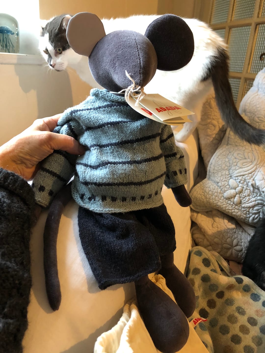 Customer photo review of HECTOR LE RAT - L