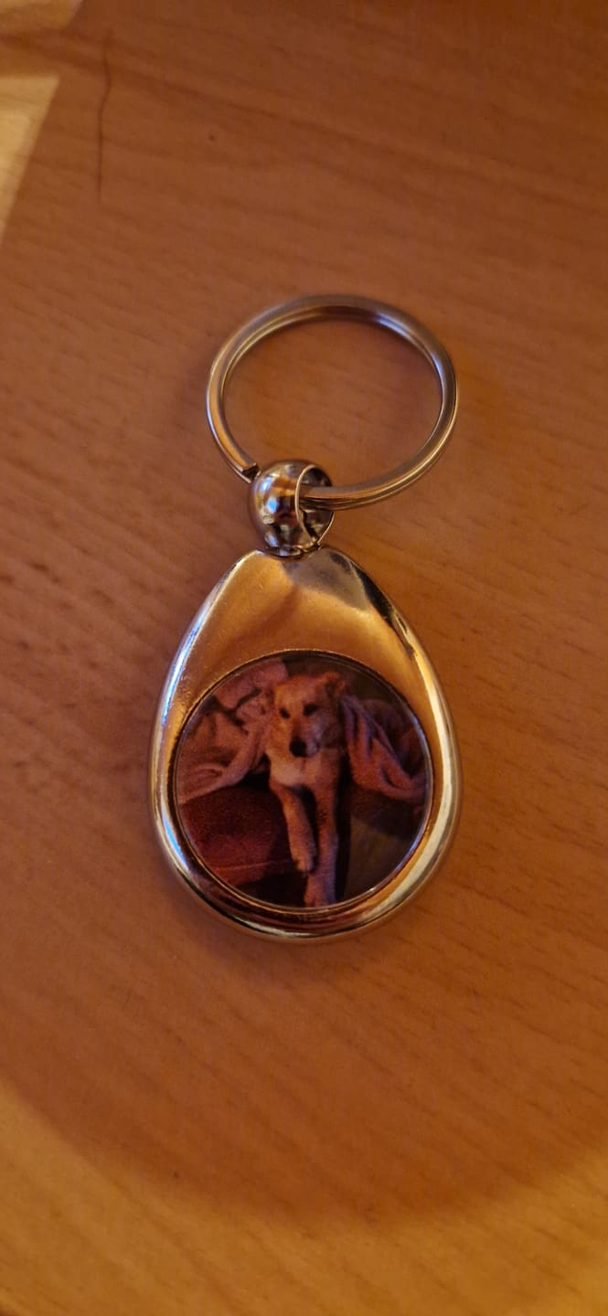 Customer photo review of Schlüsselanhänger mit Hundefoto